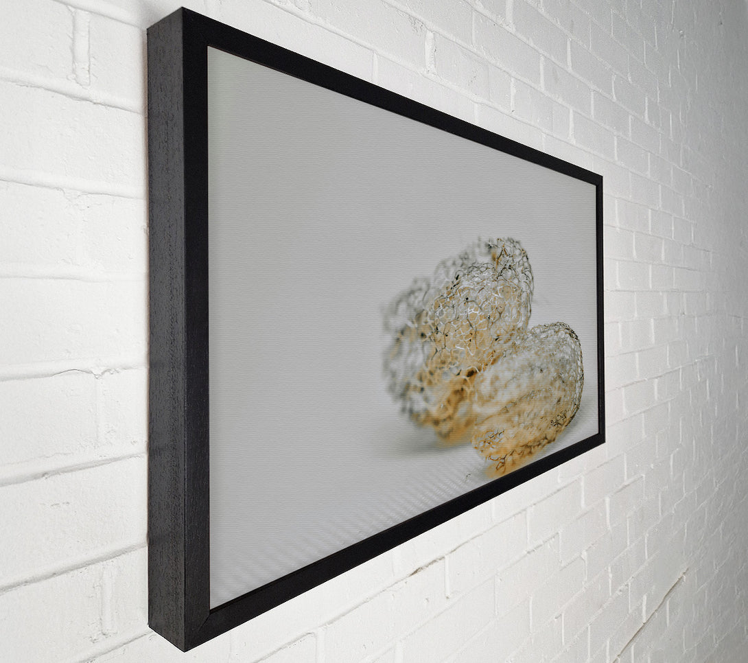  A Canvas Print of The Pale Lacework Canvas Wall Art