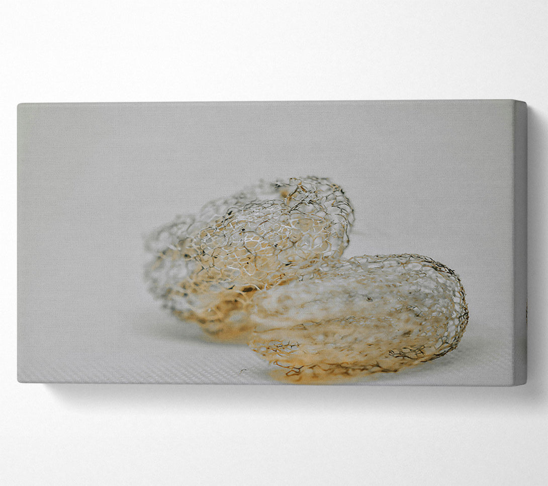  A Canvas Print of The Pale Lacework Canvas Wall Art