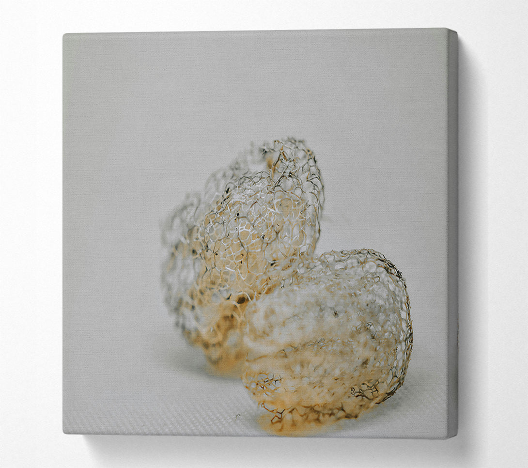  A Canvas Print of The Pale Lacework Canvas Wall Art