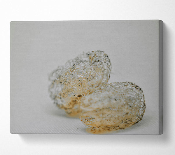  A Canvas Print of The Pale Lacework Canvas Wall Art