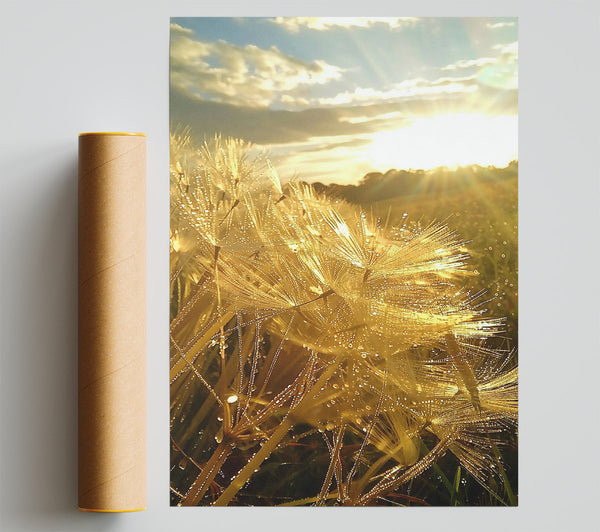 Golden Dewdrops Sunset Giclee Print