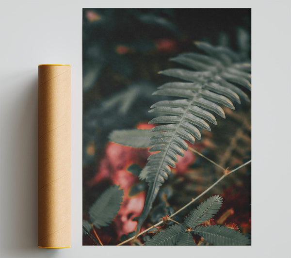 Green Fern And Red Hues Print