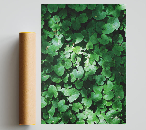 Emerald Green Blanket Print