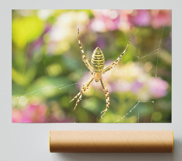 Yellow Stripe In Web Giclee Print