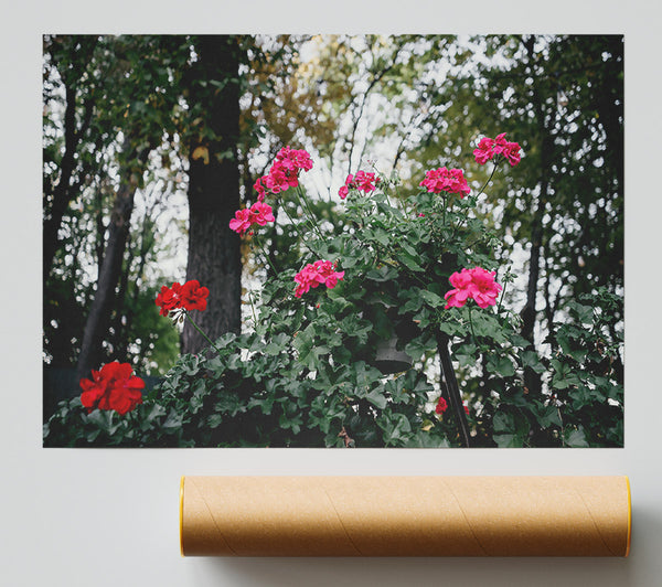 Crimson Blooms In Green Giclee Print