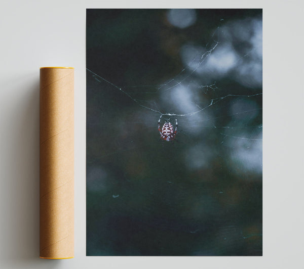 Red Spider Web Print