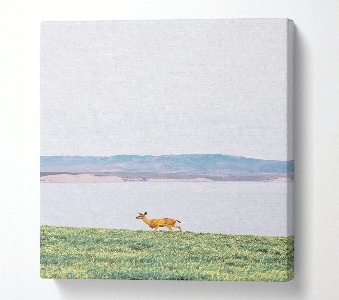  A Canvas Print of Deer With Lake Landscape Canvas Wall Art