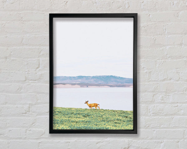 Deer With Lake Landscape Framed Print