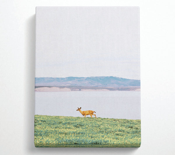  A Canvas Print of Deer With Lake Landscape Canvas Wall Art