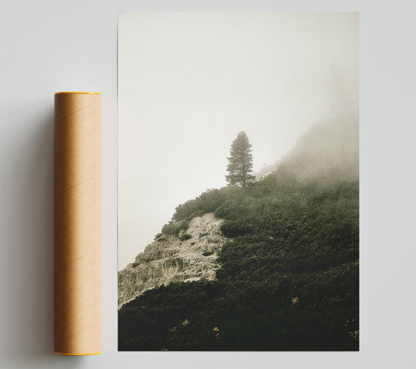 Green Solitude In Fog Giclee Print