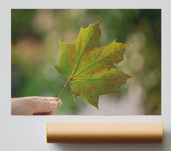 Green Autumn Leaf Poster