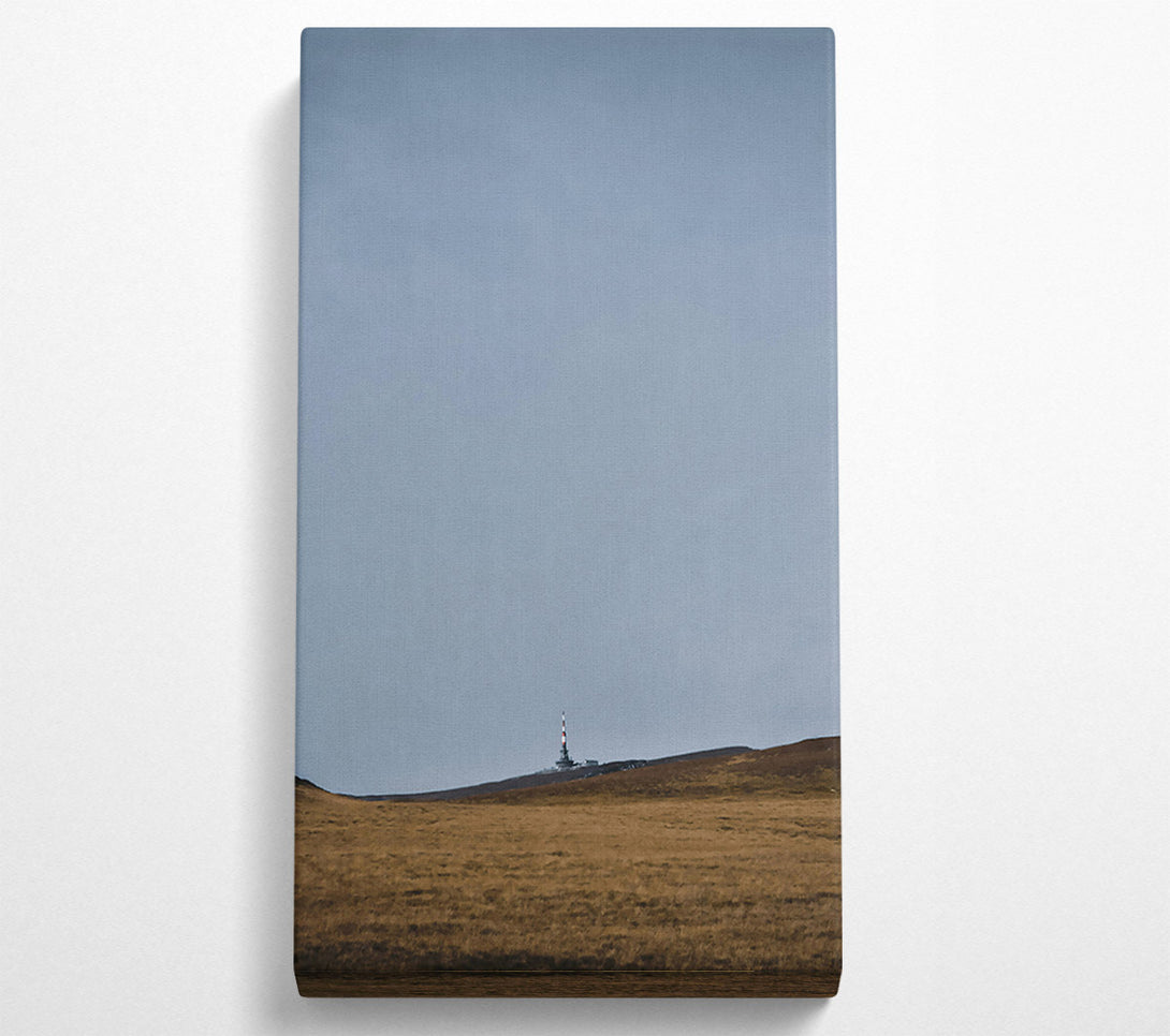  A Canvas Print of Gray Sky Over Grassland Canvas Wall Art