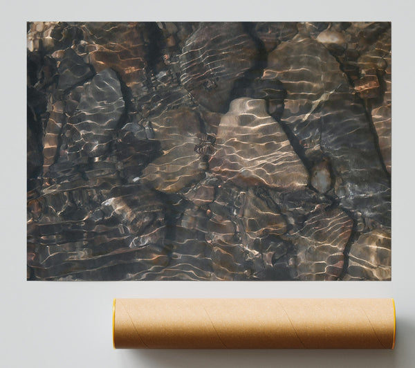 Submerged Bronze Reflections Print