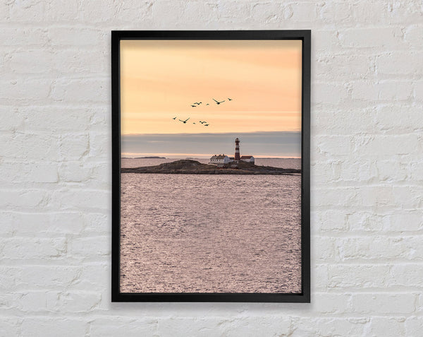Distant Lighthouse With Birds Flying Framed Print