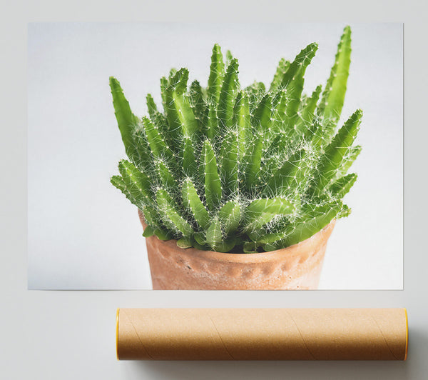 Green Spiky Cactus Print