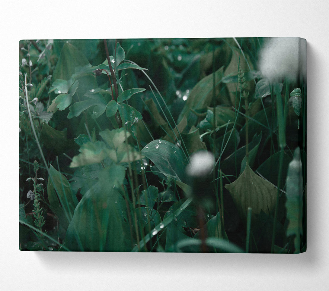  A Canvas Print of Emerald Dew Drops Canvas Wall Art