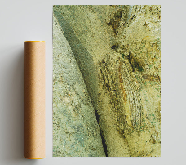 Green Tree Bark Embrace Giclee Print