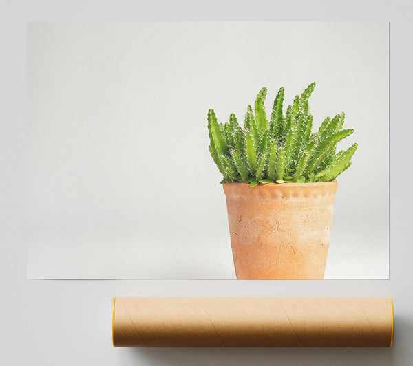Terracotta Green Cactus Print
