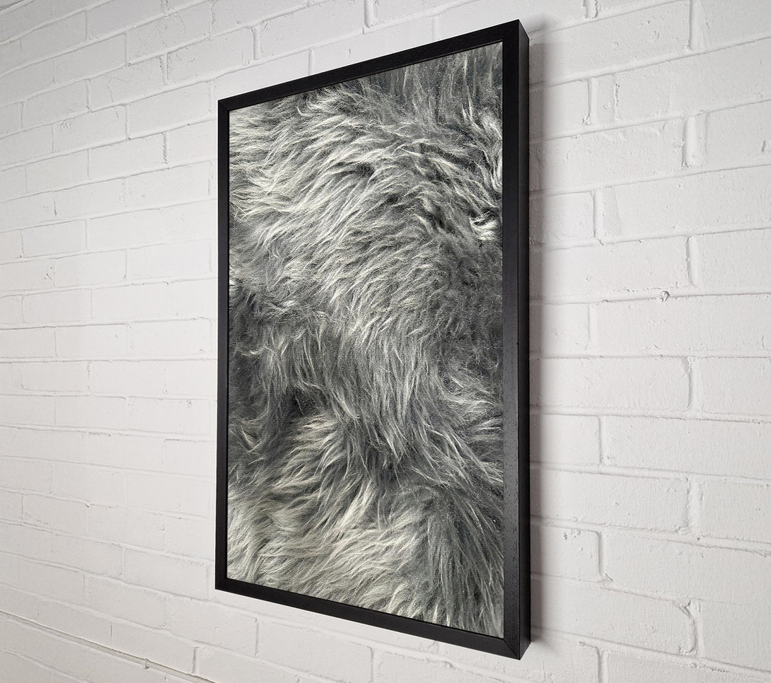  A Canvas Print of Silver Grey Furry Texture Canvas Print