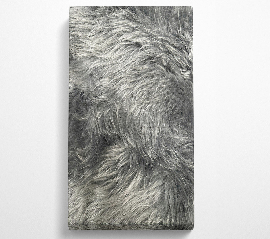  A Canvas Print of Silver Grey Furry Texture Canvas Print