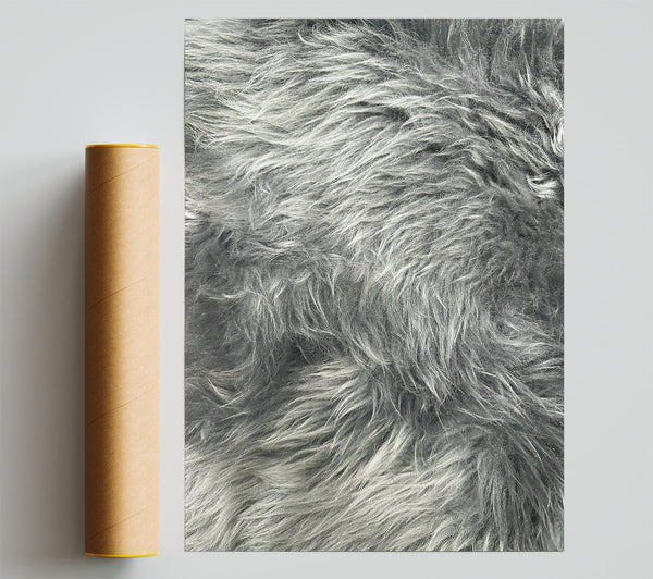 Silver Grey Furry Texture Print