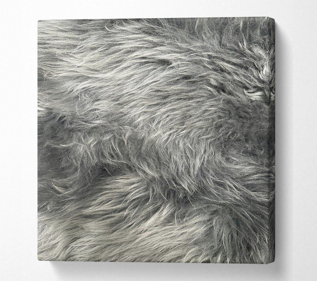 A Canvas Print of Silver Grey Furry Texture Canvas Print