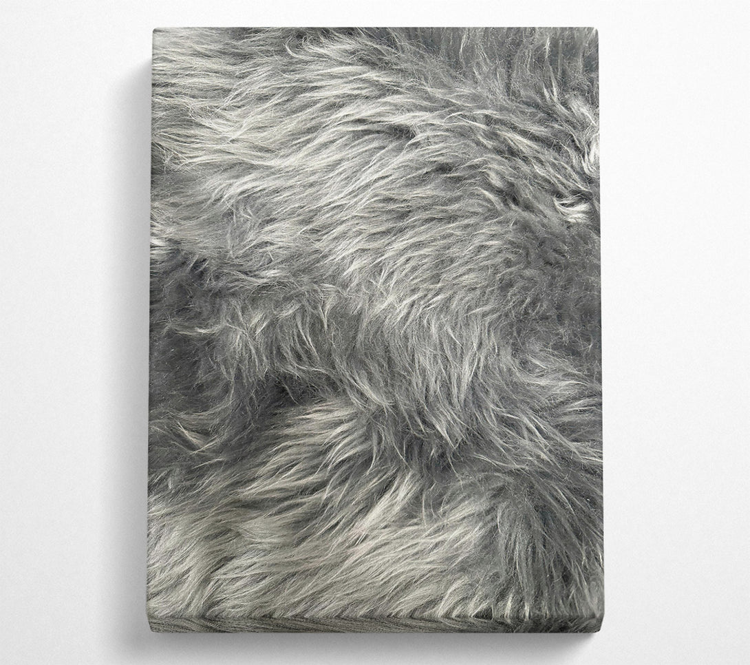  A Canvas Print of Silver Grey Furry Texture Canvas Print