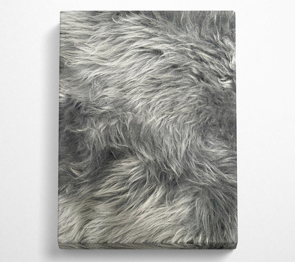  A Canvas Print of Silver Grey Furry Texture Canvas Print