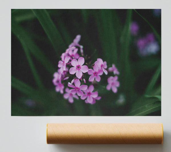 Pink Blooms In The Green Print