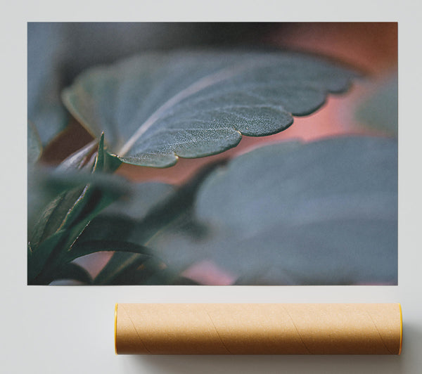 Emerald Leaf Detail Giclee Print
