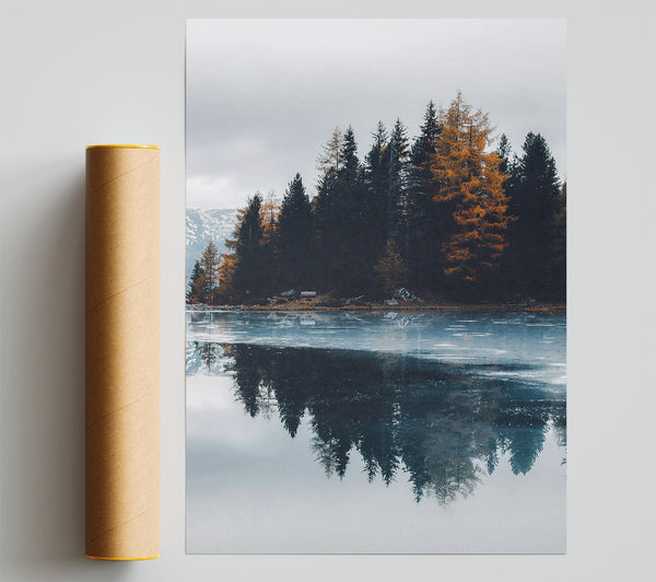 Azure Forest Reflection Poster
