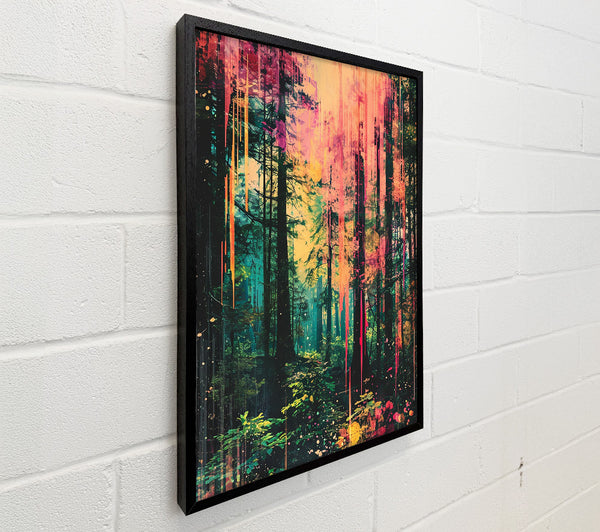 Distressed Woodland Walk