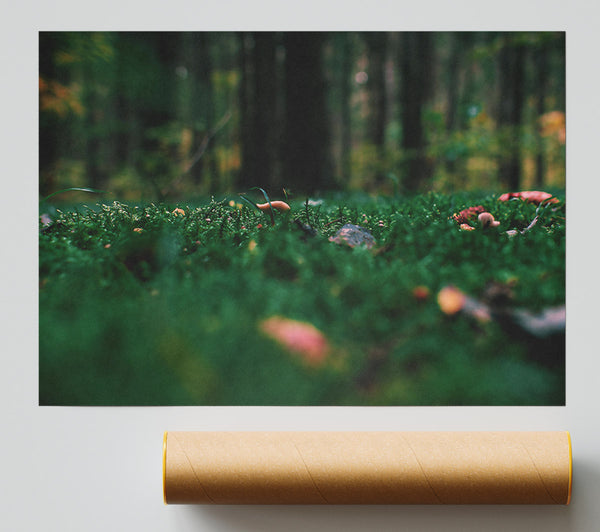 Green Forest Floor Giclee Print