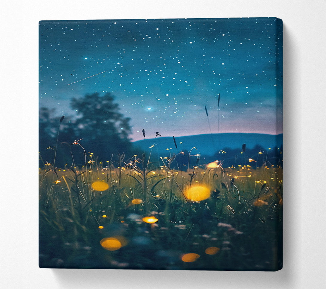  A Canvas Print of Blue Nightglow Field Canvas Art