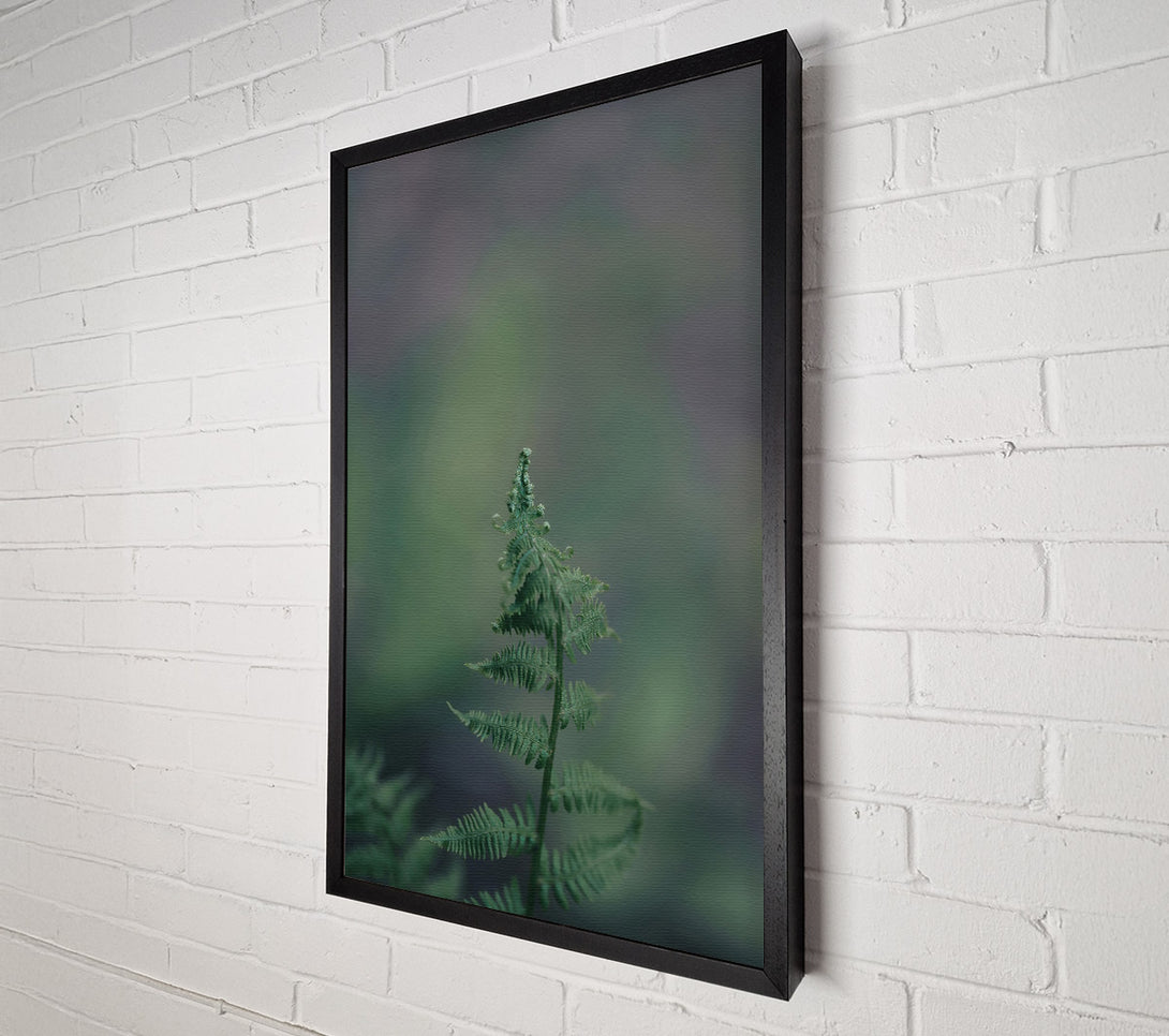  A Canvas Print of Green Fern Unfurling Canvas Art