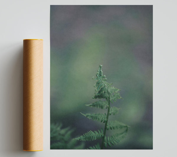 Green Fern Unfurling Poster