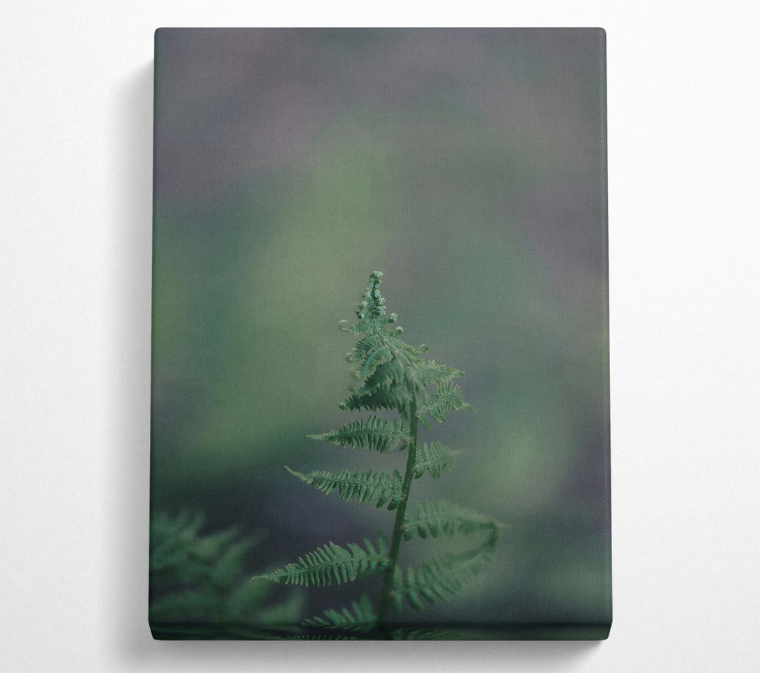  A Canvas Print of Green Fern Unfurling Canvas Art