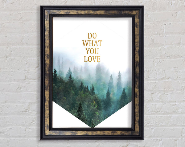 Do What You Love Framed Print