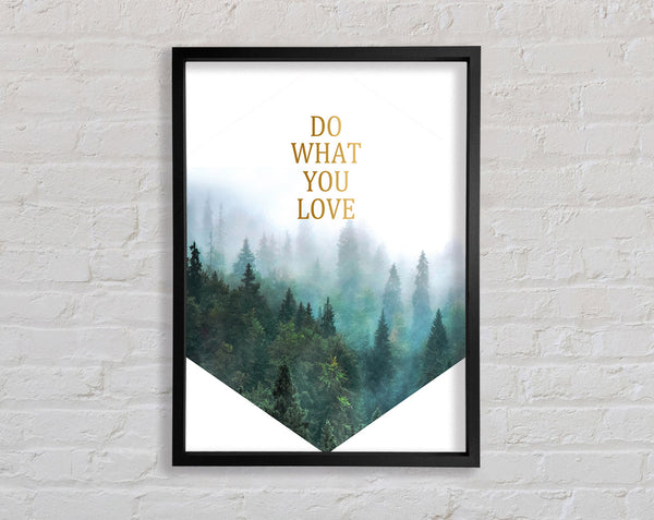 Do What You Love Framed Print