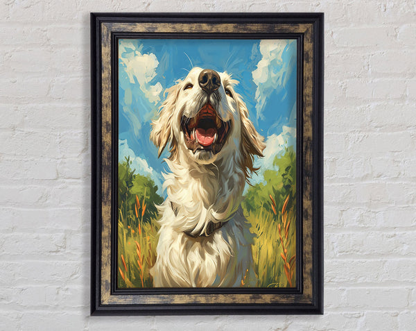 Dog In The Countryside Framed Print