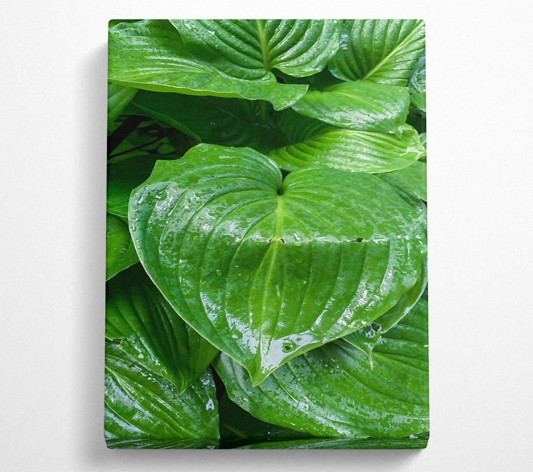  A Canvas Print of Emerald Green Veins Canvas Art