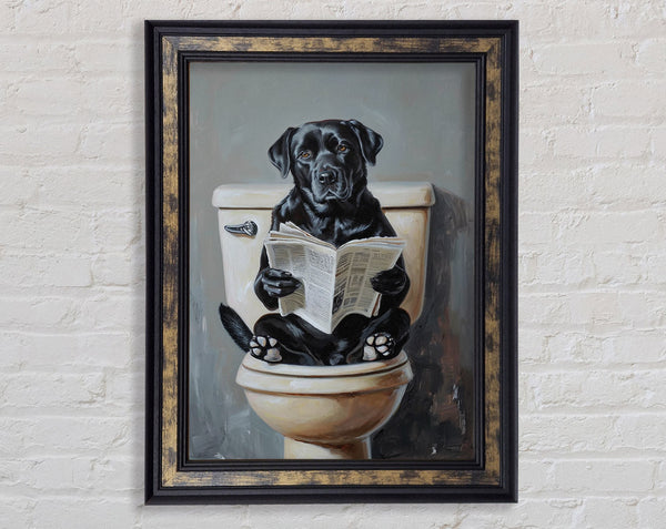 Dog Newspaper Framed Print