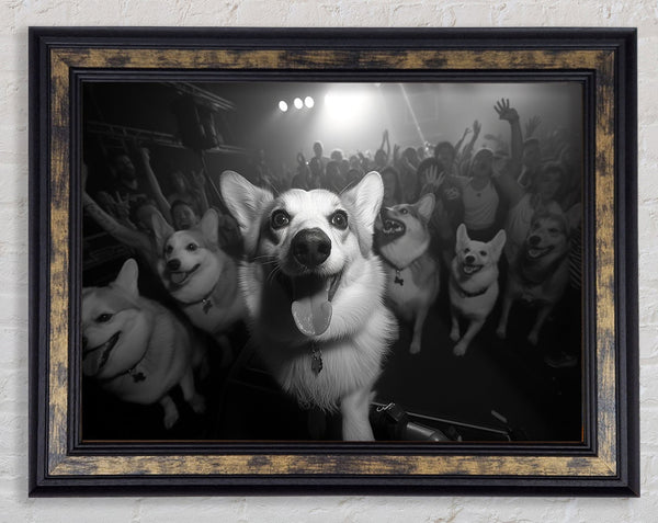 Dog Rave Framed Print