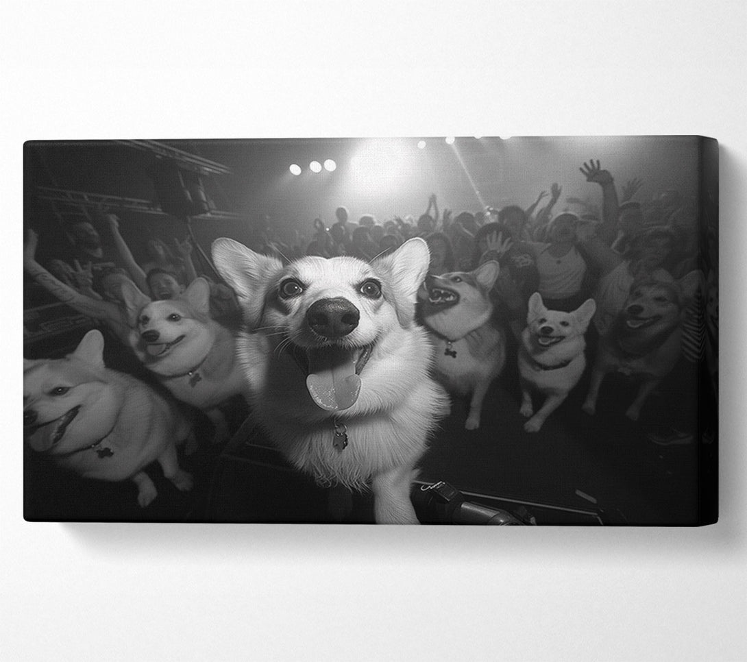  A Canvas Print of Dog Rave Canvas Wall Art