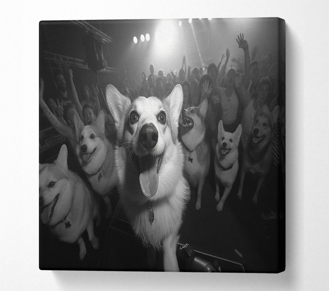  A Canvas Print of Dog Rave Canvas Wall Art