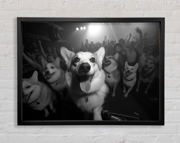 Dog Rave Framed Print