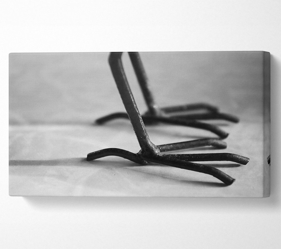  A Canvas Print of Black Metal Claws Canvas Print