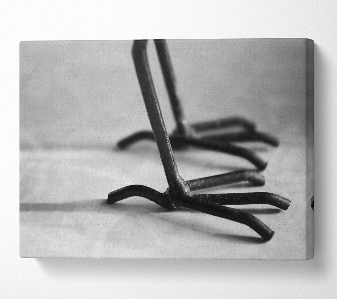  A Canvas Print of Black Metal Claws Canvas Print