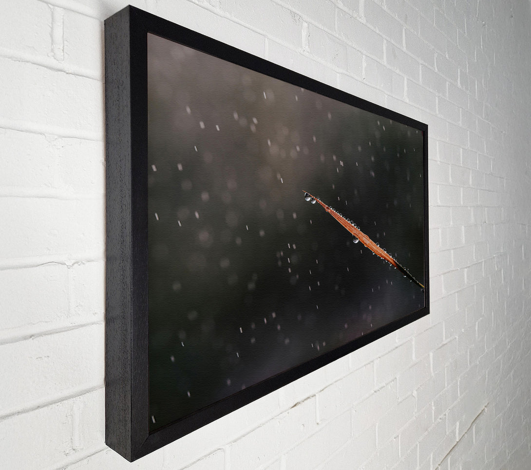  A Canvas Print of The Gray Rain Drop Canvas Art