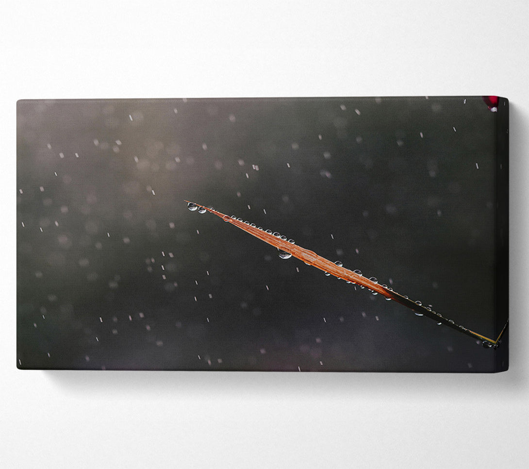  A Canvas Print of The Gray Rain Drop Canvas Art